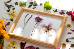 framed pressed flowers