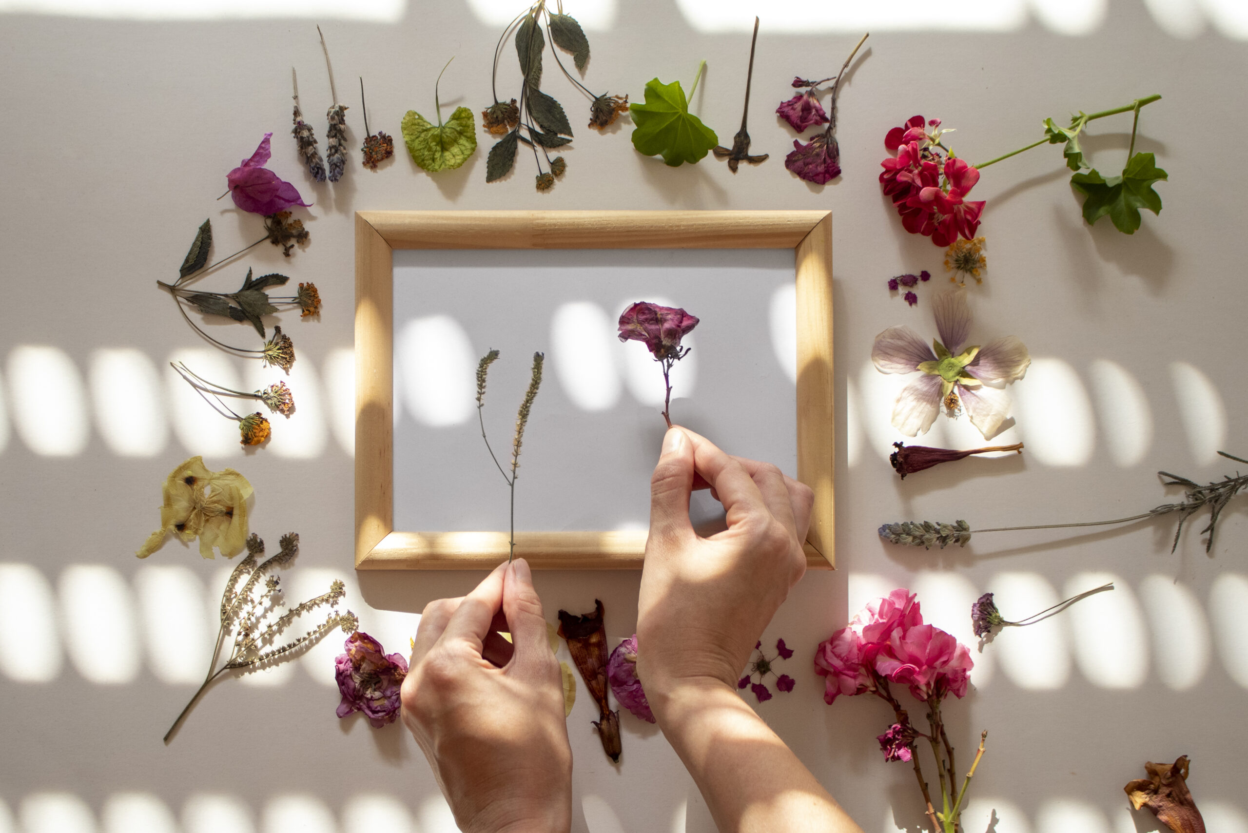 Framed Pressed Flowers: A Timeless Gift for Your Loved Ones