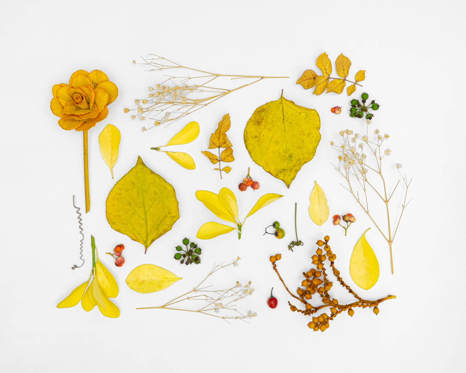 Framed Pressed Flowers Art 
